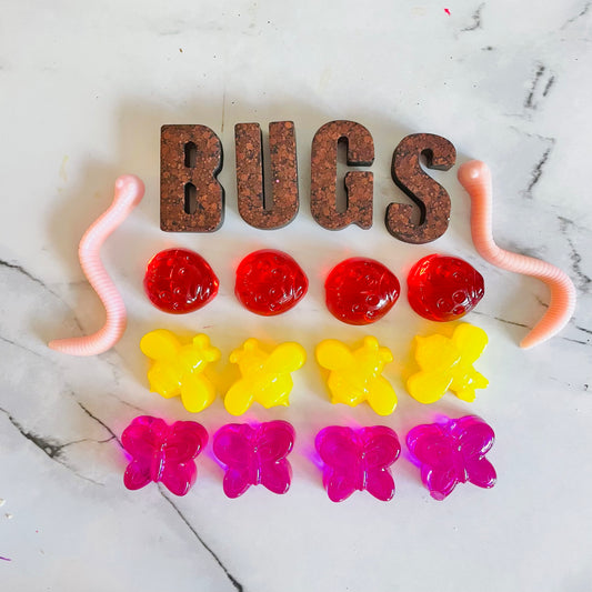 Bug Resin Kit